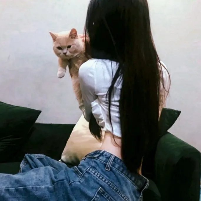 您一定不要错过